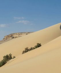 عيد الأضحى 2026: 7 وجهات قريبة من القاهرة لهروب سريع ورحلة ممتعة في العيد