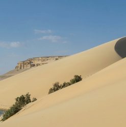 عيد الأضحى 2026: 7 وجهات قريبة من القاهرة لهروب سريع ورحلة ممتعة في العيد