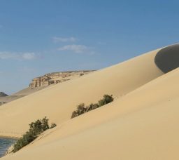 عيد الأضحى 2026: 7 وجهات قريبة من القاهرة لهروب سريع ورحلة ممتعة في العيد