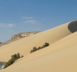 عيد الأضحى 2026: 7 وجهات قريبة من القاهرة لهروب سريع ورحلة ممتعة في العيد