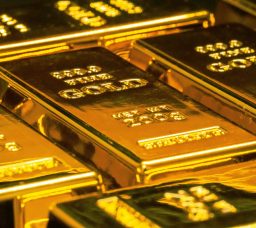 سعر الذهب اليوم في مصر الأحد 24 مايو 2026.. استقرار مع بداية التعاملات الصباحية