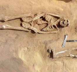 هياكل تحكي أسرار الموتى.. اكتشاف أثري مدهش يكشف وجوهًا من الحياة والموت في دلتا مصر