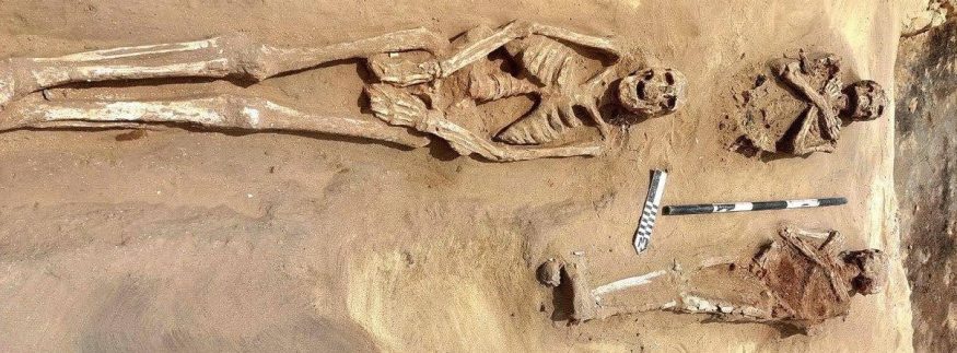 هياكل تحكي أسرار الموتى.. اكتشاف أثري مدهش يكشف وجوهًا من الحياة والموت في دلتا مصر