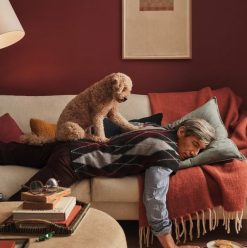 Medical Pillows in Egypt: Where to Shop for Comfort and Support