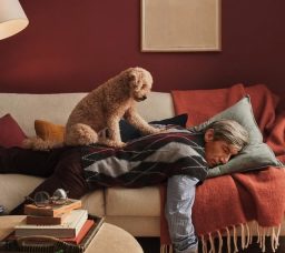 Medical Pillows in Egypt: Where to Shop for Comfort and Support