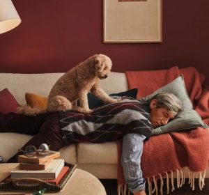 Medical Pillows in Egypt: Where to Shop for Comfort and Support
