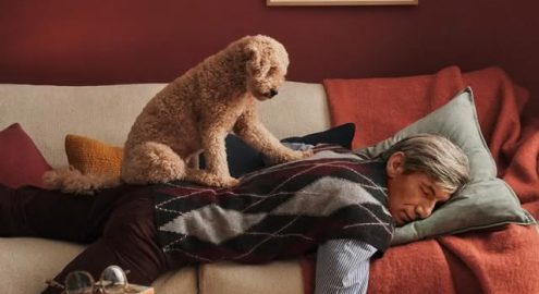 Medical Pillows in Egypt: Where to Shop for Comfort and Support