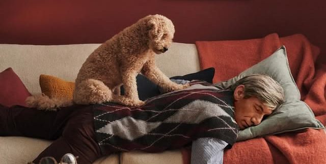 Medical Pillows in Egypt: Where to Shop for Comfort and Support