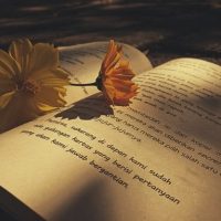 Best Arabic Reads for the Beach: A Journey Across Genres