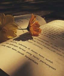 Best Arabic Reads for the Beach: A Journey Across Genres
