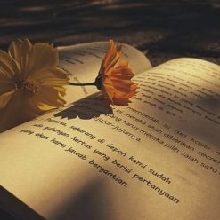 Best Arabic Reads for the Beach: A Journey Across Genres