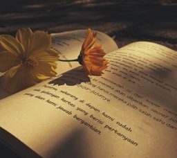 Best Arabic Reads for the Beach: A Journey Across Genres