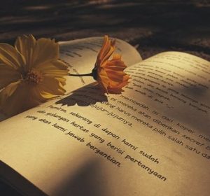 Best Arabic Reads for the Beach: A Journey Across Genres