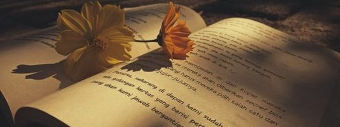 Best Arabic Reads for the Beach: A Journey Across Genres