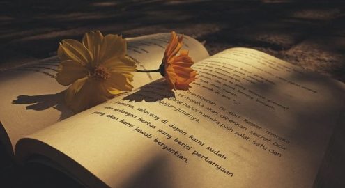 Best Arabic Reads for the Beach: A Journey Across Genres