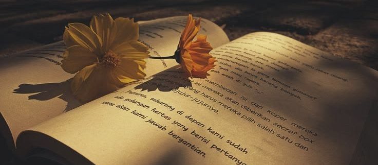 Best Arabic Reads for the Beach: A Journey Across Genres