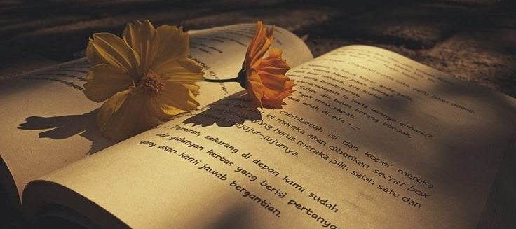 Best Arabic Reads for the Beach: A Journey Across Genres