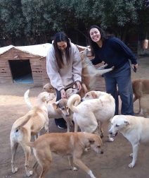 Where to Volunteer in Egypt This Summer: 10 Organisations Making a Difference