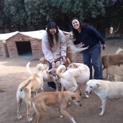 Where to Volunteer in Egypt This Summer: 10 Organisations Making a Difference