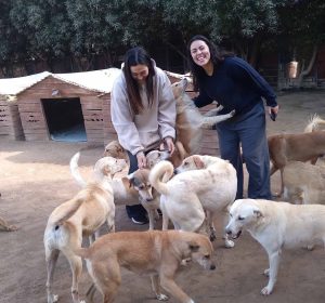 Where to Volunteer in Egypt This Summer: 10 Organisations Making a Difference