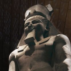 دليل زيارة المتحف المصري الكبير لأول مرة 2026.. كل اللي محتاج تعرفه قبل ما تروح