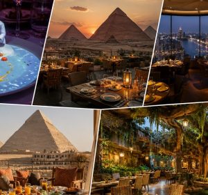 من شيف 3D لمطعم بيلف فوق القاهرة.. اكتشف 5 من أكثر تجارب الطعام تميزًا في القاهرة