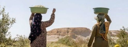 Best Farm Day Trips in and Around Cairo for a Countryside Escape