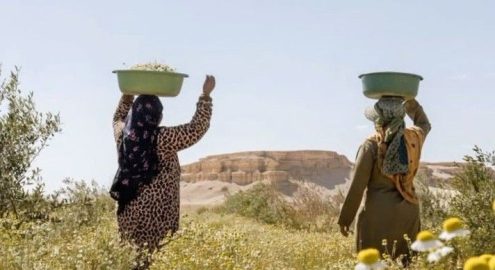 Best Farm Day Trips in and Around Cairo for a Countryside Escape