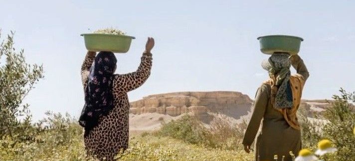 Best Farm Day Trips in and Around Cairo for a Countryside Escape