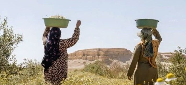 Best Farm Day Trips in and Around Cairo for a Countryside Escape