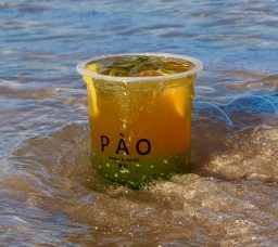 Skip the Iced Coffee: New Refreshing Summer Drinks to Beat the Heat