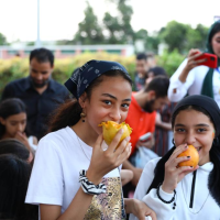 Everything You Need to Know About the Upcoming Egyptian Mango Festival