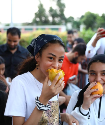 Everything You Need to Know About the Upcoming Egyptian Mango Festival