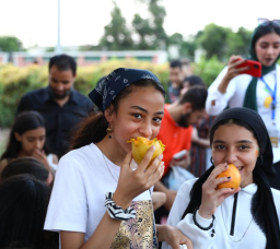 Everything You Need to Know About the Upcoming Egyptian Mango Festival