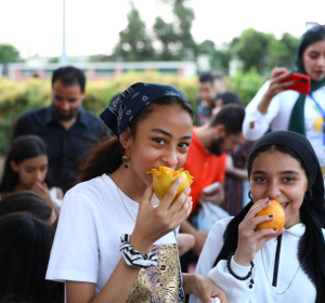 Everything You Need to Know About the Upcoming Egyptian Mango Festival