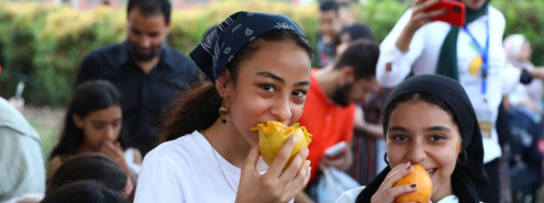 Everything You Need to Know About the Upcoming Egyptian Mango Festival