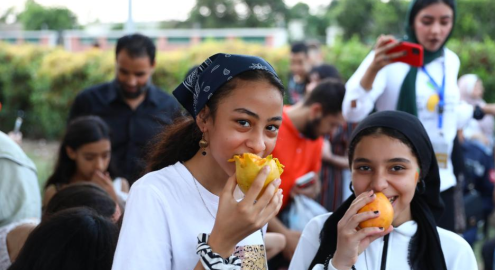 Everything You Need to Know About the Upcoming Egyptian Mango Festival