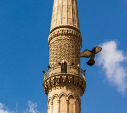 أجمل مساجد القاهرة التاريخية.. 5 تحف معمارية لازم تزورها