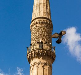 أجمل مساجد القاهرة التاريخية.. 5 تحف معمارية لازم تزورها