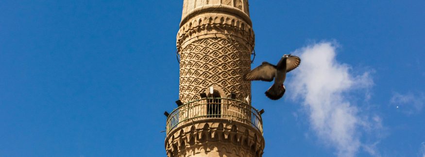 أجمل مساجد القاهرة التاريخية.. 5 تحف معمارية لازم تزورها
