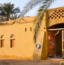 How Tunis Village Became Egypt’s Famous Pottery Destination