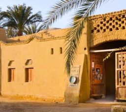 How Tunis Village Became Egypt’s Famous Pottery Destination