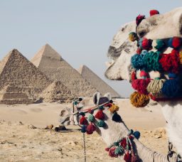 من المتحف المصري الكبير لـ عرض الصوت والضوء.. دليلك لقضاء يوم كامل في منطقة أهرامات الجيزة 2026