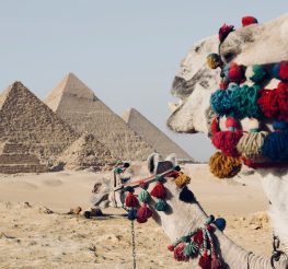 من المتحف المصري الكبير لـ عرض الصوت والضوء.. دليلك لقضاء يوم كامل في منطقة أهرامات الجيزة 2026
