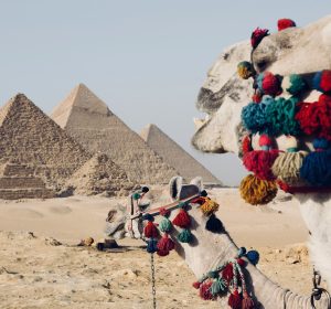 من المتحف المصري الكبير لـ عرض الصوت والضوء.. دليلك لقضاء يوم كامل في منطقة أهرامات الجيزة 2026
