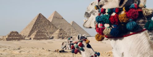 من المتحف المصري الكبير لـ عرض الصوت والضوء.. دليلك لقضاء يوم كامل في منطقة أهرامات الجيزة 2026