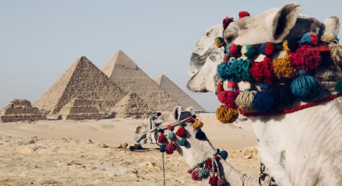 من المتحف المصري الكبير لـ عرض الصوت والضوء.. دليلك لقضاء يوم كامل في منطقة أهرامات الجيزة 2026