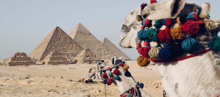 من المتحف المصري الكبير لـ عرض الصوت والضوء.. دليلك لقضاء يوم كامل في منطقة أهرامات الجيزة 2026