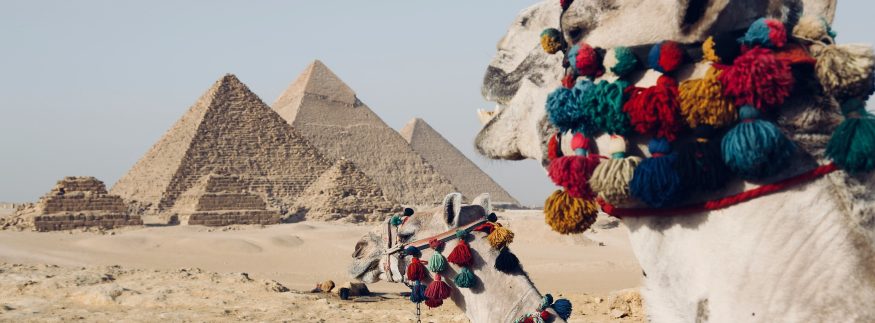 من المتحف المصري الكبير لـ عرض الصوت والضوء.. دليلك لقضاء يوم كامل في منطقة أهرامات الجيزة 2026