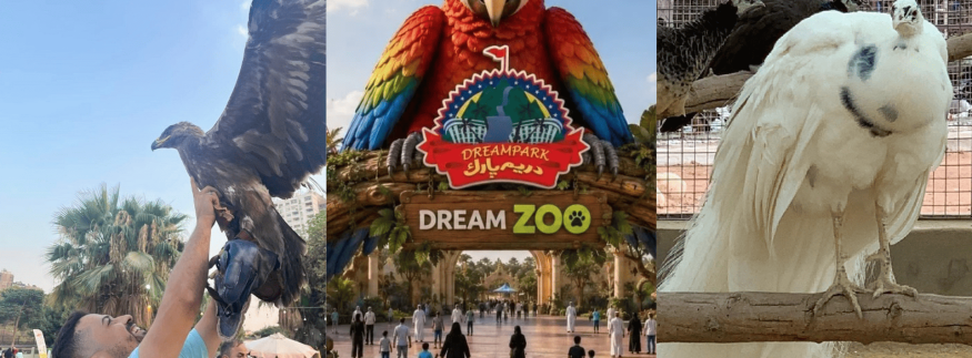 أفضل 5 حدائق حيوان مصغرة “ميني زوو” في القاهرة والجيزة 2026.. الأسعار والعناوين